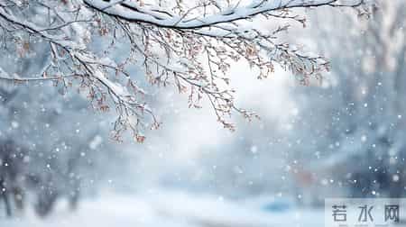 2025年冬至不一般，六十年不遇！2个好消息，2个坏消息，建议了解