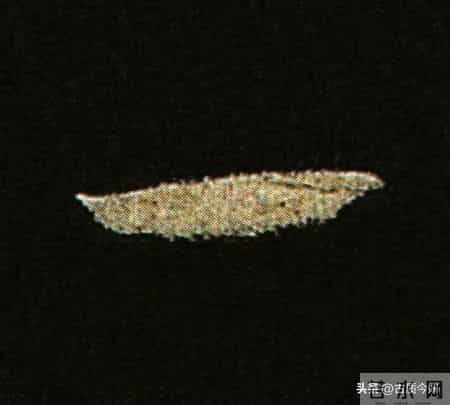 神品！章草之冠《文武帖》单字放大欣赏：笔笔都是古雅风骨！