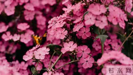 12月20日，星期六 ，亥猪，有事要浮出水面了！