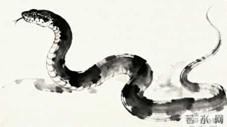 属蛇的准备起飞！这“泼天的福气”，终于轮到你了