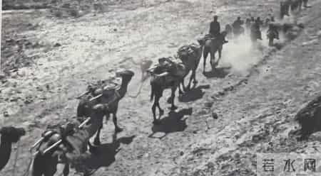 陈志勇 -- 青藏高原上的“民勤村”