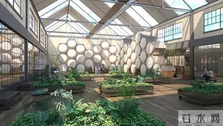 “火葬”将被淘汰？新方式已经在国内试用，很多人表示不能接受