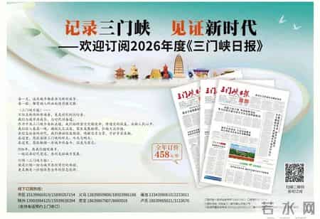 从灵宝街头到央视舞台看“90后”姑娘如何带96岁奶奶 “出圈”