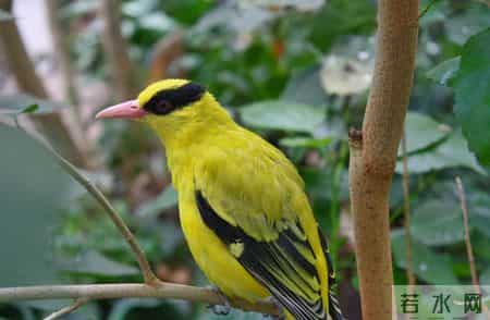 古代落榜生最精彩的8首诗，让我们一览失意中的文采飞扬