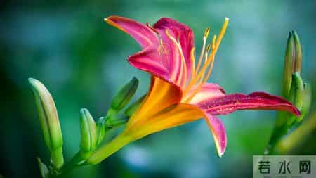 生肖蛇，人算不如天算，12月18日至12月24号下周生肖运势