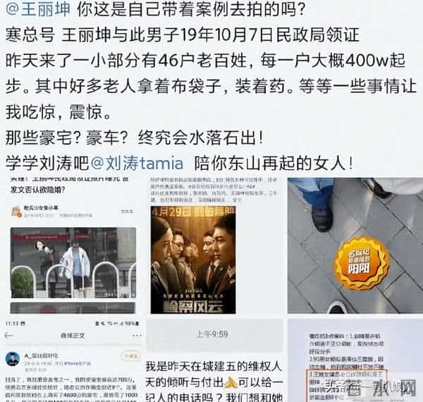 天狂自有人收！王丽坤前夫詹浩礼诈骗14亿，千万豪车奢侈品被拍卖