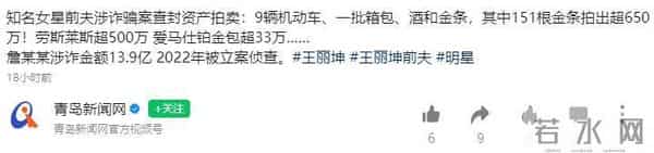 自食苦果，王丽坤前夫诈骗14亿，千万豪车奢侈品被拍卖