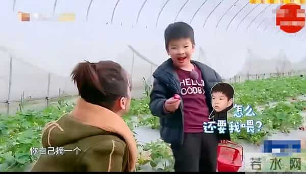 葛夕没说错，离婚10个月，黄圣依的13岁儿子，如今成她的“救赎”