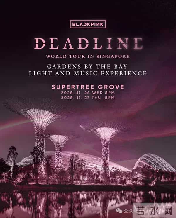 Lisa现身新加坡环球影城，笑容超甜，粉丝们疯狂追逐