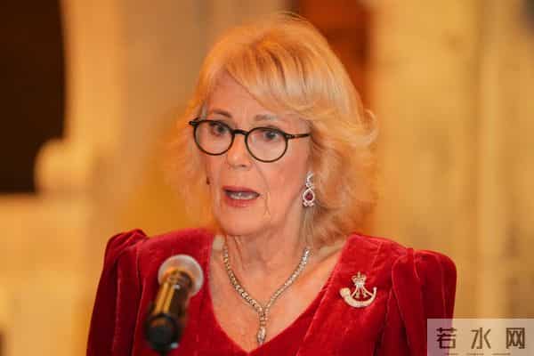 卡米拉王后，神秘的蛇形项链，暗示了她的祖先与国王的恋情？