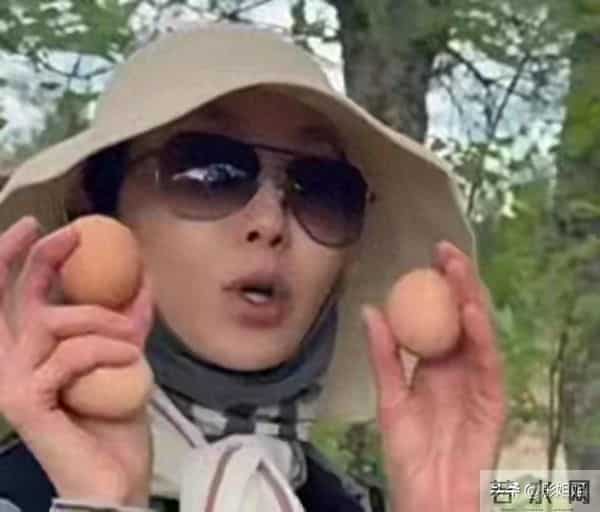 61岁张曼玉田园生活，戴着5万多的墨镜，掏鸡蛋，网友，太会玩了