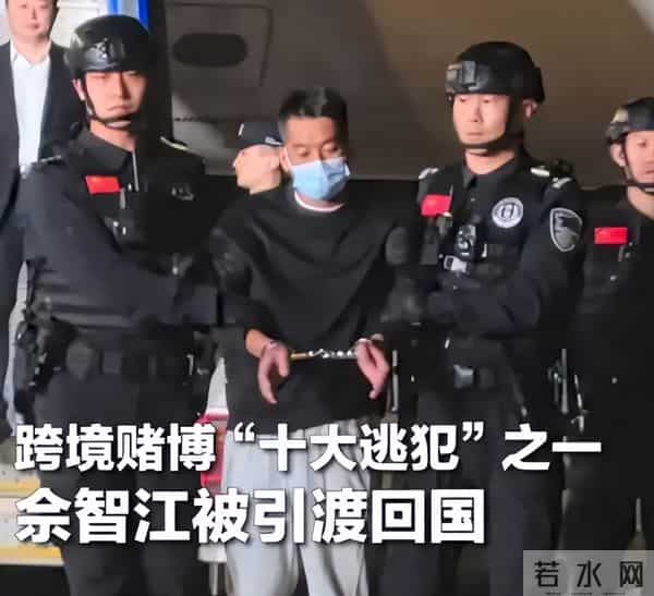 翻身无望！49岁赵薇近况再曝，表弟佘智江被捕，事业婚姻全失败