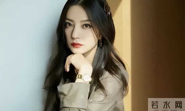 赵薇复出梦碎，前夫表弟被捕，离婚真相藏不住了！