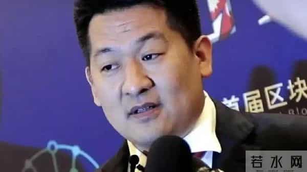 佘智江落网，才知道小燕子被封杀并不简单，资本黑幕藏不住了！