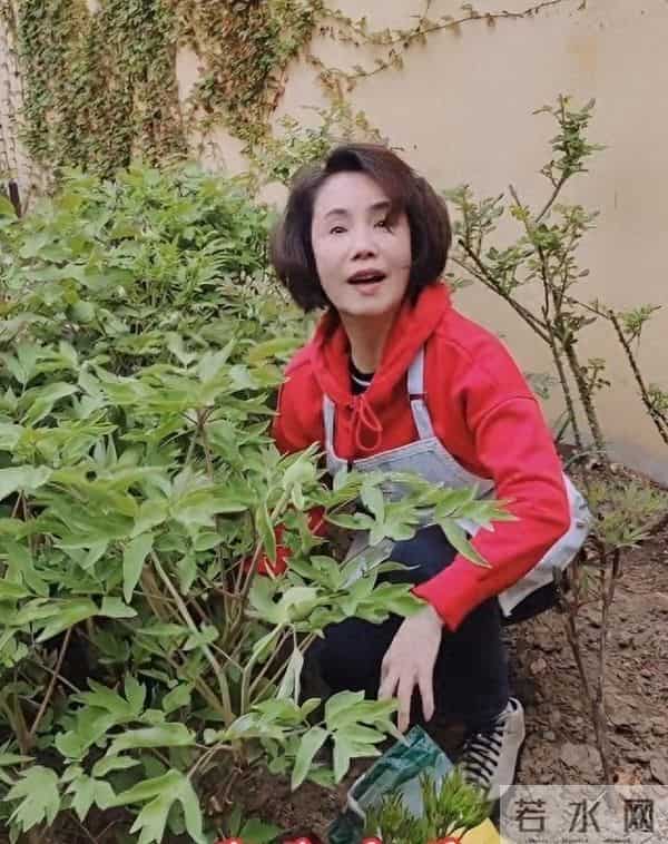 前央视主播徐俐现状：和二婚老公住北京农村，不给儿子带娃好潇洒