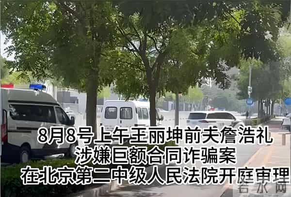 女星王丽坤：被诈骗犯前夫害惨了 网友：这是嫁富豪的代价