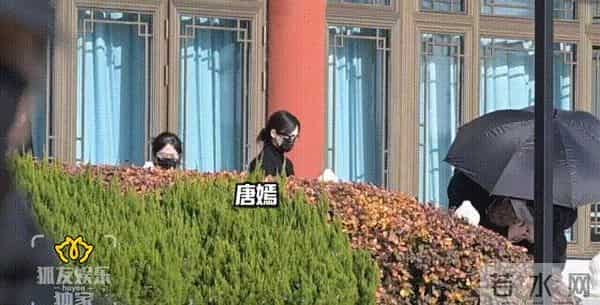 父亲去世不到72小时，罗晋甩掉大黑锅，看来苗圃的话真没说错！