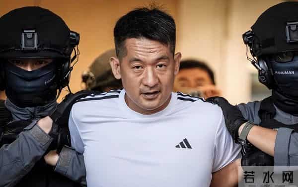 翻身无望！49岁赵薇近况再曝，表弟佘智江被捕，事业婚姻全失败