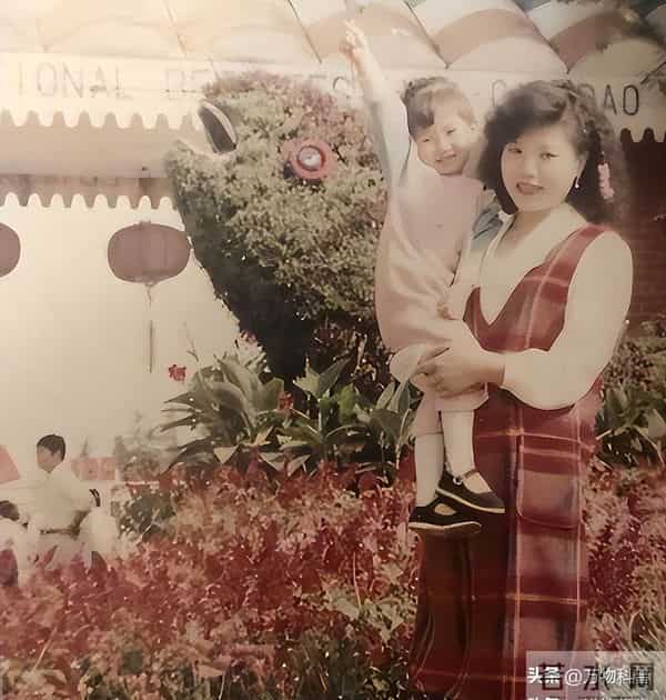 分手8年后，再次官宣喜讯的毛晓彤，已经成陈翔高攀不起的存在