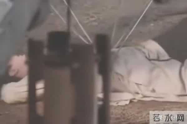 成毅威亚失控坠落！后脑勺着地画面揪心