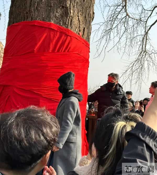 朱媛媛去世后 李乃文第四次去大孤山 这次没和辛柏青 而是带了袁姗姗