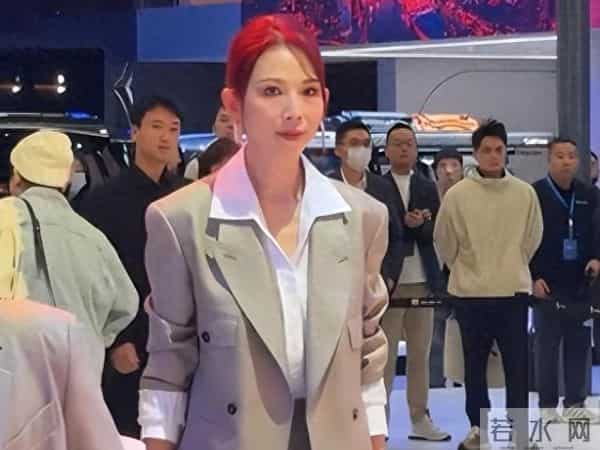 蔡少芬广东车展生图曝光！身材消瘦状态差，网友直呼心疼