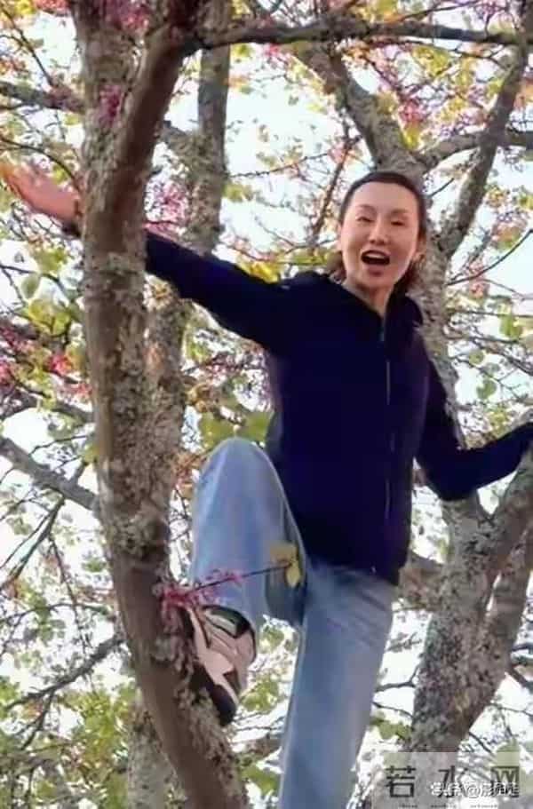 61岁张曼玉田园生活，戴着5万多的墨镜，掏鸡蛋，网友，太会玩了