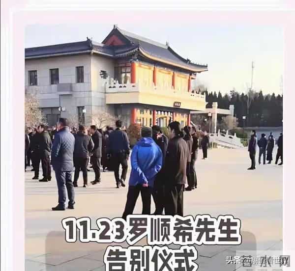 罗晋也没想到，选择低调庆生的唐嫣又一个举动，口碑再次迎来暴涨