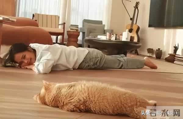 62岁韦唯现状：脊柱断裂已恢复，前夫已死，两个混血儿子回国相伴