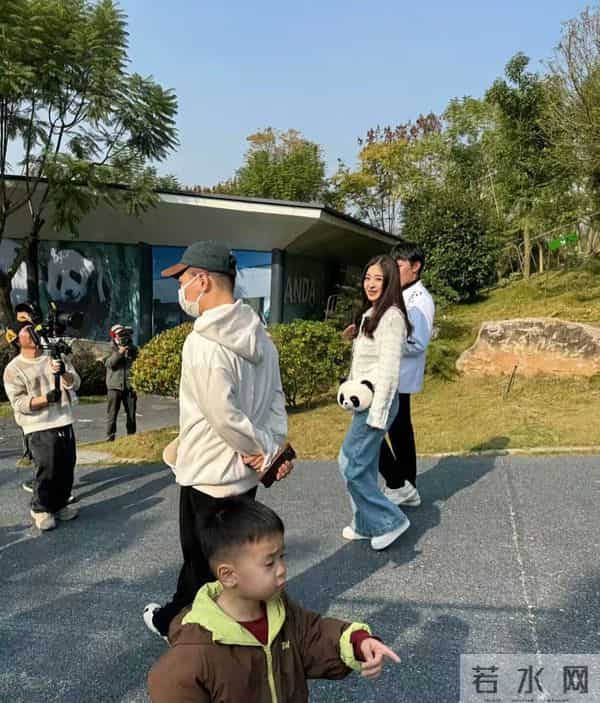36岁张含韵熊猫基地路透！甜妹感拉满，比20年前还嫩？