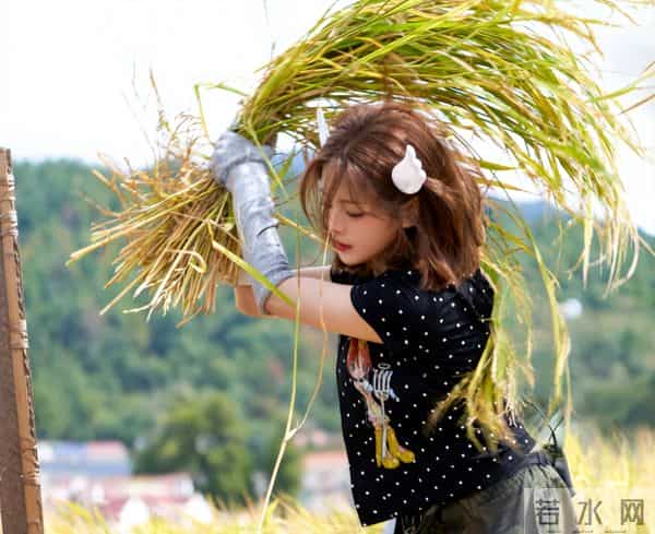 杨超越终于选对赛道了，进组拍摄“甜宠剧”，搭档待爆流量小生