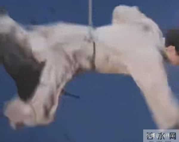 成毅威亚失控坠落！后脑勺着地画面揪心