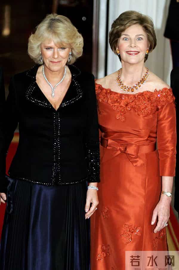 卡米拉王后，神秘的蛇形项链，暗示了她的祖先与国王的恋情？