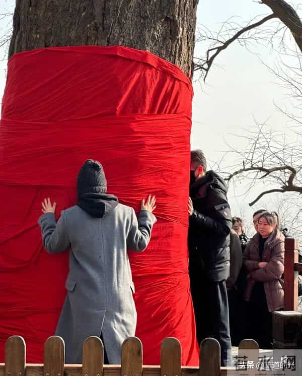 朱媛媛去世后 李乃文第四次去大孤山 这次没和辛柏青 而是带了袁姗姗