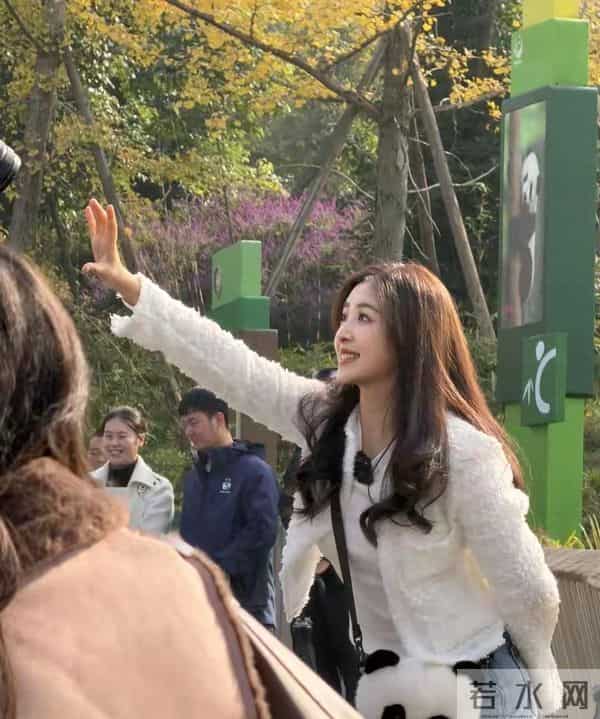 36岁张含韵熊猫基地路透！甜妹感拉满，比20年前还嫩？