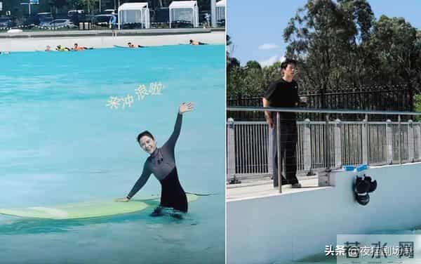 获官媒实力认证，何超莲强势破圈，婚姻被重新定义