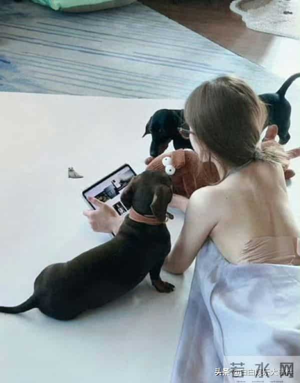 赵露思好可怜，又瘦又小背上贴满了膏药，看了好心疼！