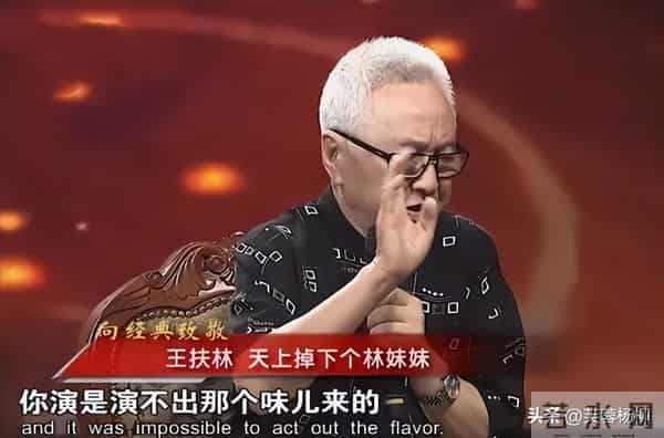 87《红楼梦》之陈晓旭：三个名字，都和林黛玉有关