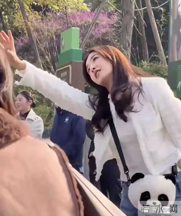 张含韵成都看熊猫，小香风皮卷发一搭，甜成软糖萌化啦