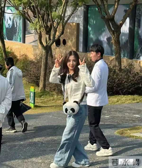 张含韵成都看熊猫，小香风皮卷发一搭，甜成软糖萌化啦