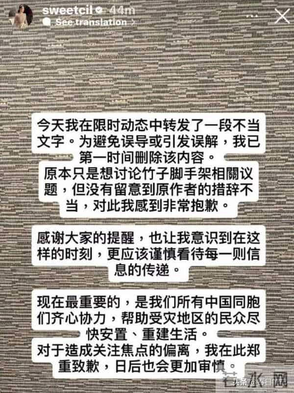 甄子丹老婆谈香港火灾原因，暗指是内地的锅，全网舆论瞬间炸锅