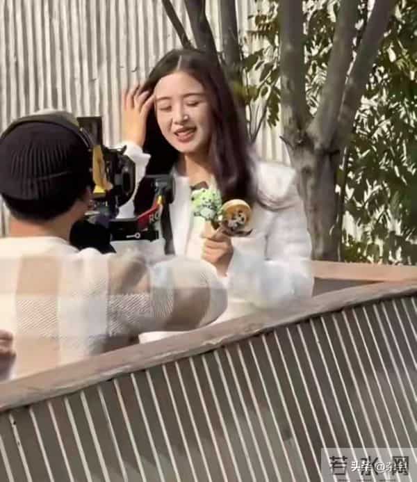 张含韵成都看熊猫，小香风皮卷发一搭，甜成软糖萌化啦