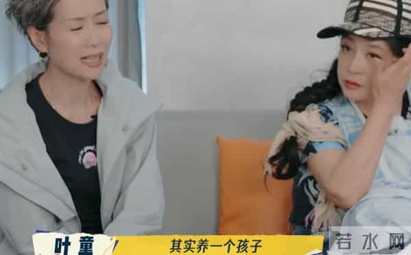 再给一次机会还愿生孩子吗？刘晓庆刘嘉玲回应了，只有叶童最坦诚