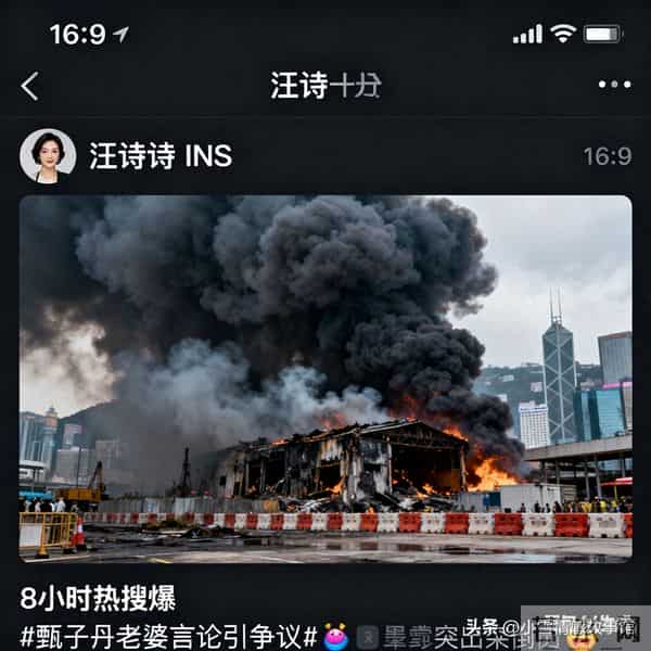 甄子丹老婆INS发文引爆争议“内外双标”道歉遭全网抵制62岁甄子