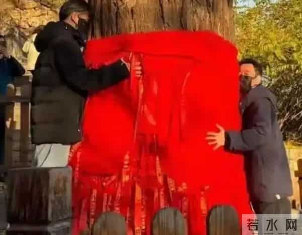 又一知名人士走上朱媛媛老路，离世前丈夫痛哭求助，可惜世事无常