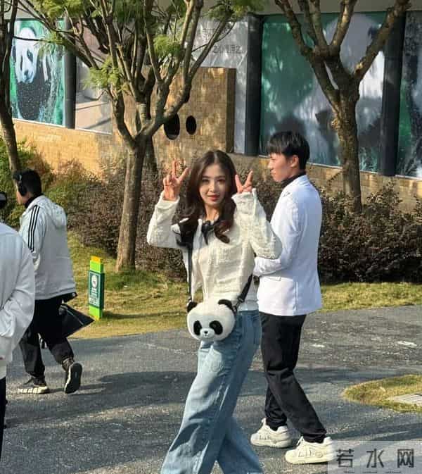 36岁张含韵熊猫基地路透！甜妹感拉满，比20年前还嫩？