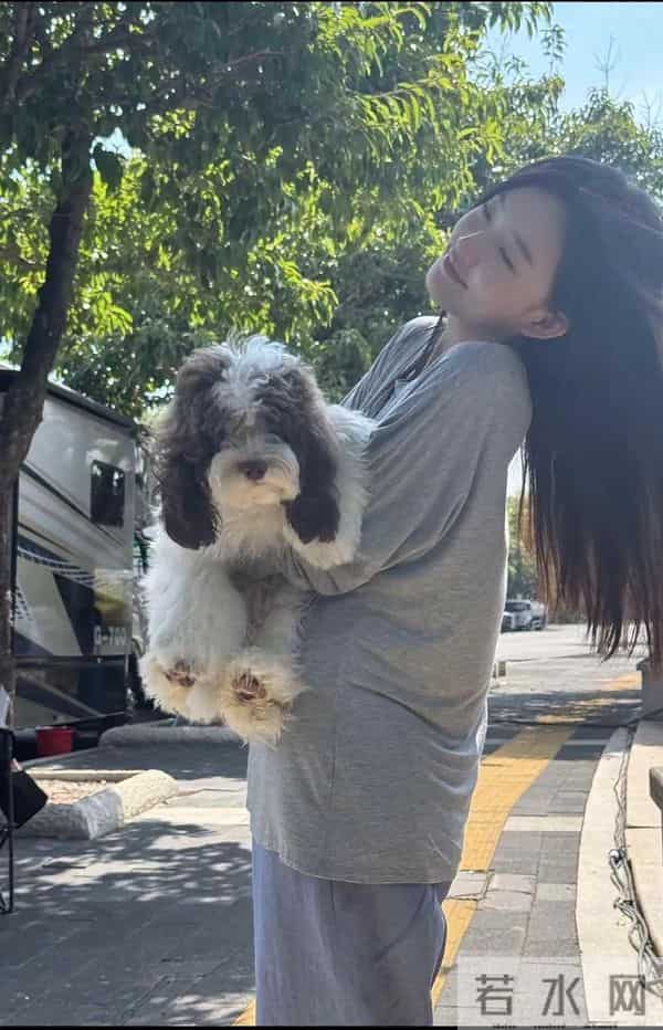 出道7年，马伊琍、黄渤，张译，都为她作配，她到底什么来头？