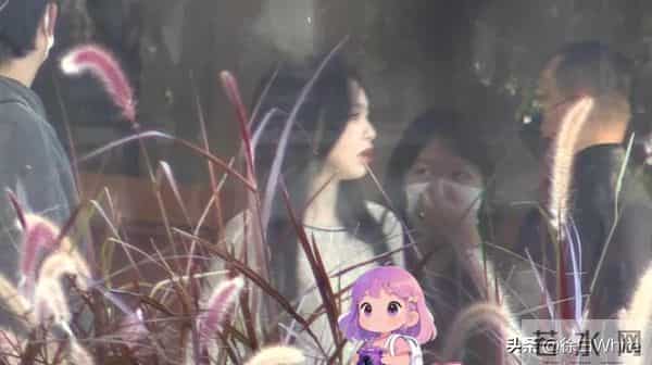 罗晋父亲离世关于遗产分配，罗晋作为家中独子，哪来的三个姐姐？