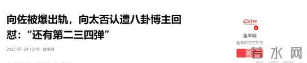 向佐欠债百万传闻真相大白4个月，向太自爆家产安排，一点不意外
