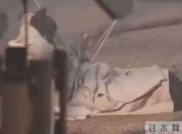 风向变了！35岁成毅拍戏受伤，深夜回应报平安，央媒发文为其撑腰